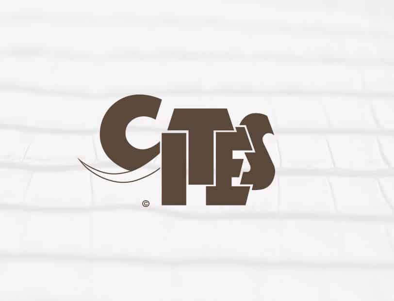 logo-cites